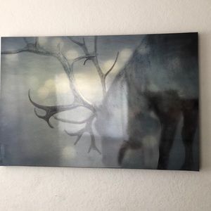 Frame